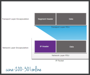 Pdu Encapsulation The Network Layer » CCNA 200-301