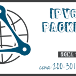 IPv6 Packet Network