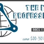 The IT Professional CCNA