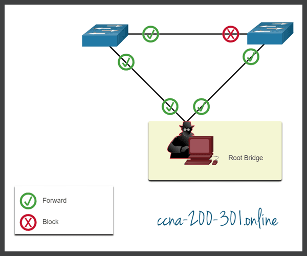 Network attack STP