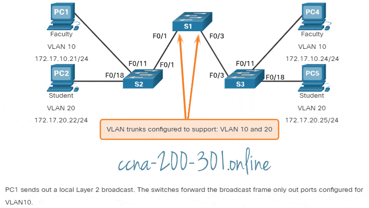 Network with VLANs